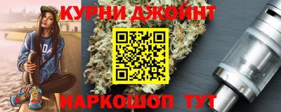 a pvp Камышлов