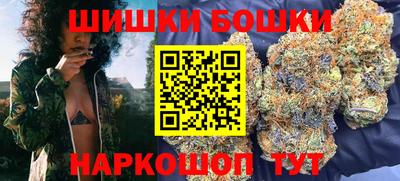 a pvp Камышлов