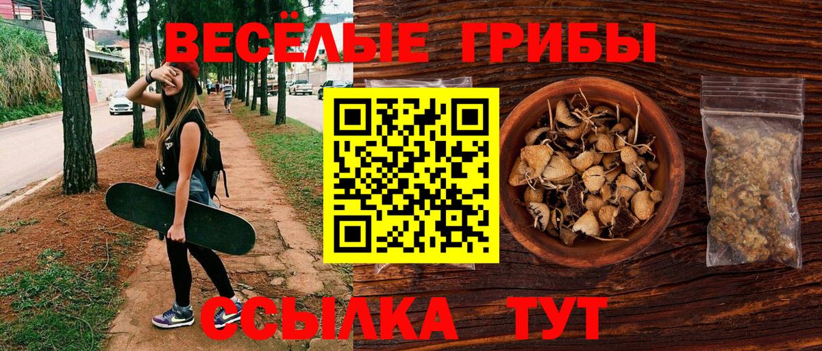 где можно купить   Галлюциногенные грибы Cubensis  Вход с VPN  Краснознаменск 